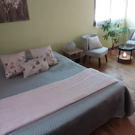 Ferme Du Mouton Noir Bed & Breakfast 3*