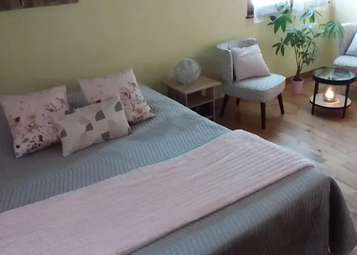 Ferme Du Mouton Noir Bed & Breakfast 3*